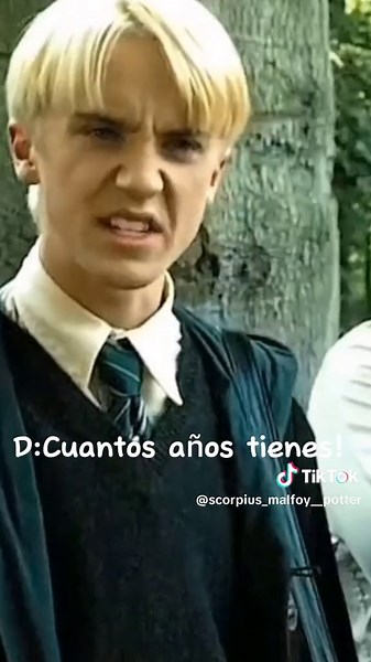 Draco and Harry: A Heartwarming Fan Edit