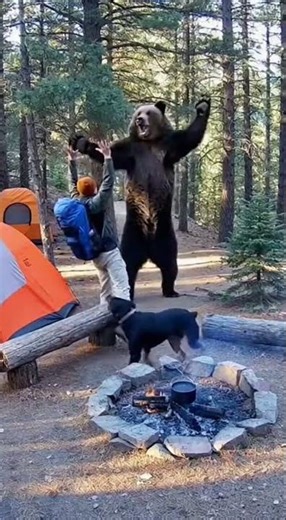grizzly bear blocks escape at remote mountain campsite