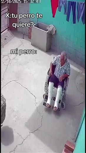 #viral #tiktok #meme #miperroesmio | dog meme