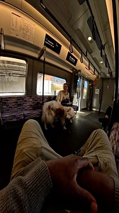 Would you like to meet Viola on the train?? #doglover #subway #tube #trains #violasnow #puppylove #viralvideos #underground #fans #happy #repost #share #like | Viola Snow