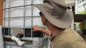 Texas' Tango Blast gang draws kids with tattoos, loose affiliation rules