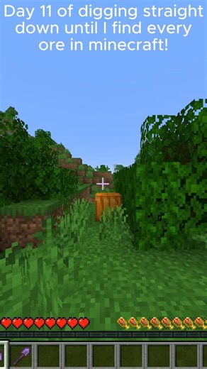 Day 11 of digging straight down until I find every ore in minecraft! #minecraft