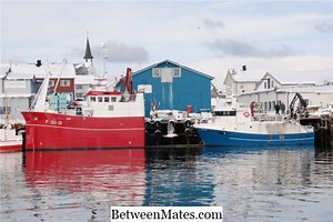 Forskjell mellom API GL-04 og API GL-05 Forskjellen mellom - Andre 2026