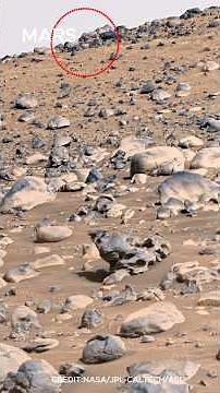 Mars Was NOT Always a Desert! 🤯 (Perseverance Rover 4K Footage)‪@sciencedawn‬