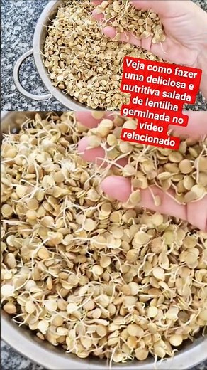 Sprouted grains are much more nutritious