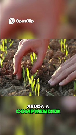 🌍📊 SOIL TYPES: Complete Summary — Importance for Agriculture and the Environment #ImportantSoil