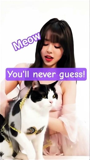 WHEN CAT WATCH JOJO FIRST TIME..🐈‍⬛👊🏻 #jojo #cat #고양이 #बिल्ली #猫 #CatPurEst