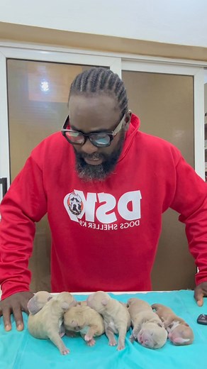 Thanks GOD 🙏🏾🙏🏾🙏🏾 | Dogs Sheller K9
