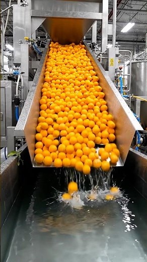 How Fresh Oranges Are Turned Into Orange Juice | Amazing Orange Juice Factory Process 🍊