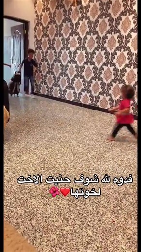 فيديوهات أنشأها omar Aziz (@omaralsamurai) باستخدام الصوت الأصلي - omar Aziz