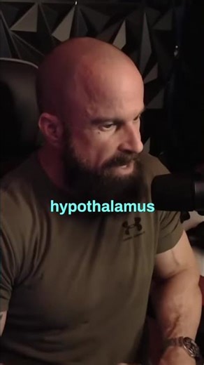 D-SIP Explained: The Hypothalamus Signal Behind Sleep & Repair