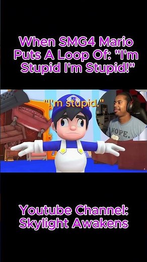 When SMG4 Mario Puts A Loop Of: "I'm Stupid I'm Stupid!"