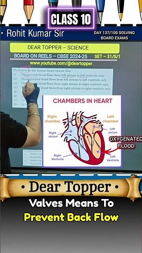The valves in the human heart ensure that:Oxygen-rich blood flows from left atrium to left ventricle