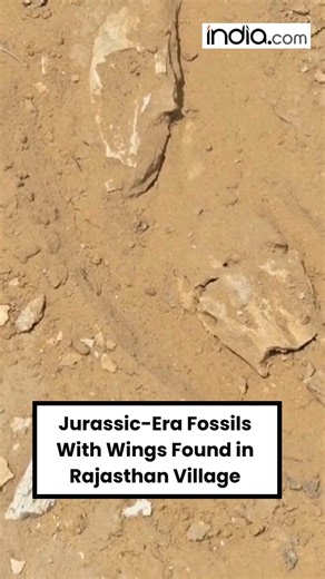 4.5K views | Jaisalmer, Rajasthan: Vertebrate fossils, potentially related to the Jurassic Era, found in Megha Village of Fatehgarh sub-division. #JurassicEra #rajasthan #fossils #jaisalmer #fatehgarh | India.com | Facebook