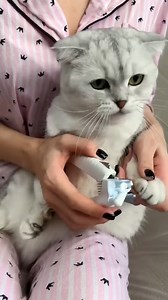 How to trim cat claws 💅🏼 #Cat #Catlovers | Meow Spa