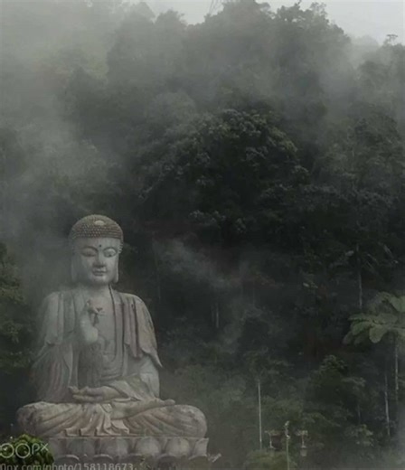 Exploring Japan: A Deep Dive into Japanese Culture and Life