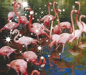 L'Arc~en~Ciel - 瞳の住人