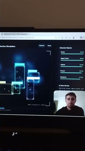 AI Object Detection Interface Simulation Pro