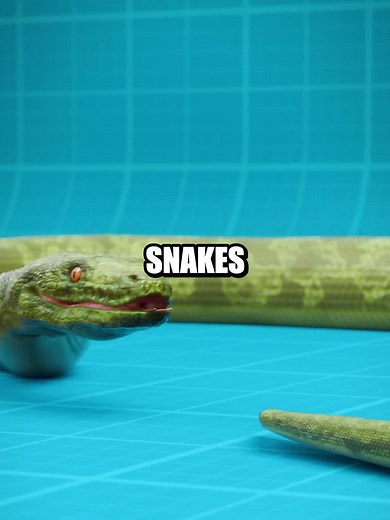 Can Snakes Eat Themselves?