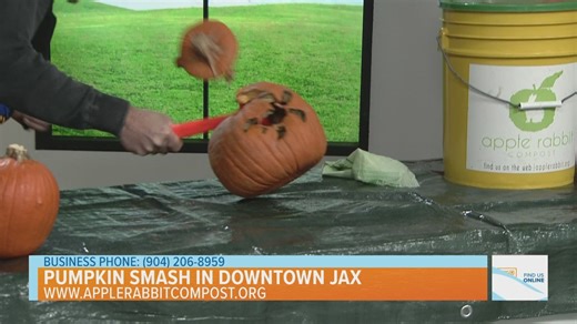 Pumpkin Smash with Apple Rabbit Compost