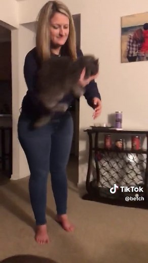 cats are a solid, liquid and now void of gravity. (ig: @nicoleromain)