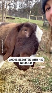 126K views · 7.6K reactions | Love story in caption ⬇️ Stu the goat...