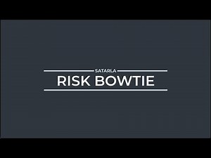 Introduction to Risk Bowties
