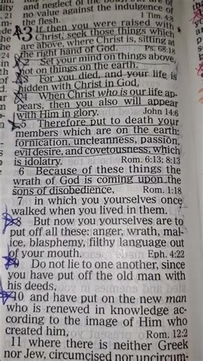 Start your day with "Good Morning Scriptures" 📖 Colossians 3:1-8 #scriptureoftheday #dailyword