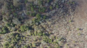 12K views · 133 reactions | Learn how Bandit Industries and North...