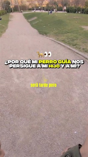 Why does my guide dog keep chasing my son and me? 🦮👀