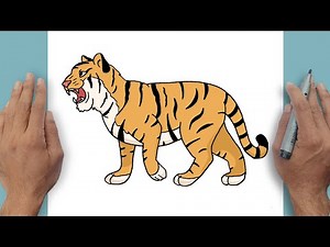 How to Draw Tiger Easy Step-by-step | Animal Drawing Tutorial