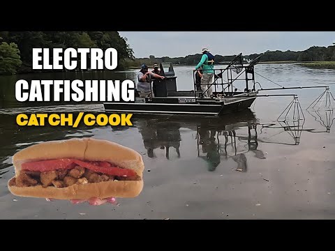 Shocking Big Blue Catfish + Maryland Po’Boy Catch & Cook