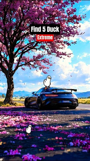 Only 1% can find all the ducks #automobile #duck