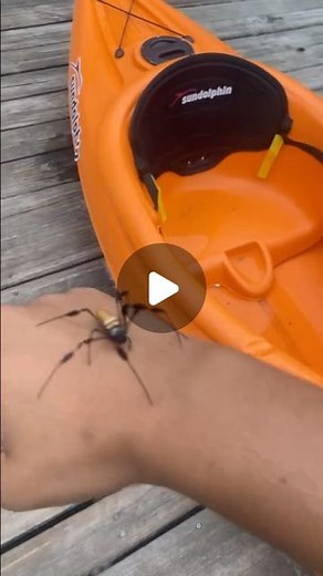 SCARY MEMES on Instagram: "Music to my ears"