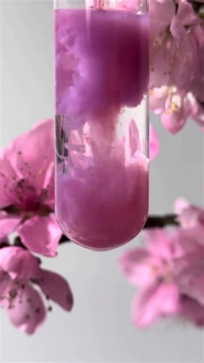 hoa anh đào trong hóa học #science #chemistryeducation #chemgio #chemistrychamps #chemistrypage