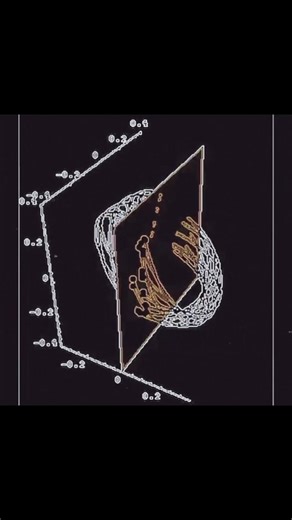 Grigori Perelman: The Man Who Rejected Math’s Greatest Honor