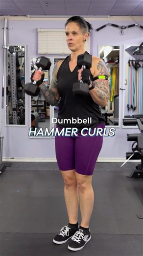 Dumbbell Hammer Curl Demo