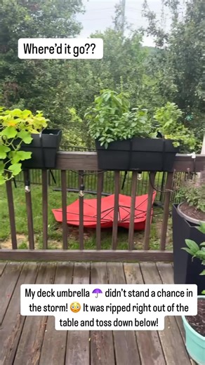 Jennifer Kraus NC5 on Reels