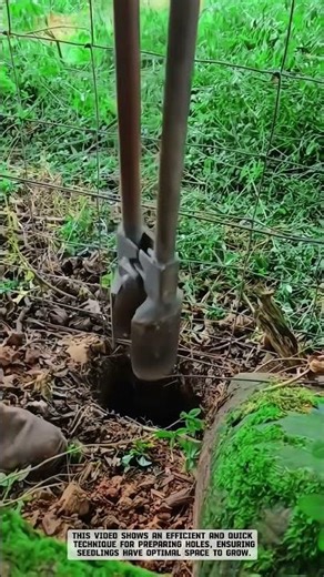 The Amazing Secret Behind This Hole Digger Will Amaze You! 🛠️🌱 #smartfarming #gardeningtips