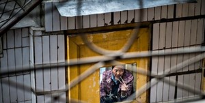 Why The Chinese Eat (And Drink) Anything And Everything