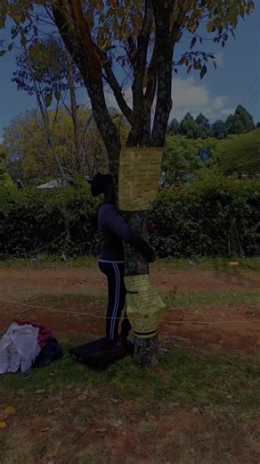 80-Hour Tree Hugging Challenge at Kilgoris