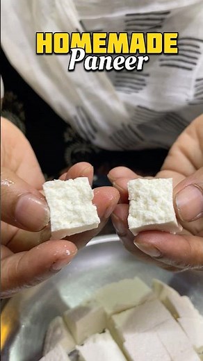 దూది లాంటి PANEER