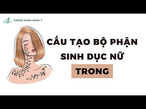CẤU TẠO BỘ PHẬN SINH DỤC NỮ TRONG