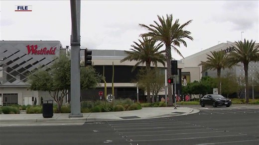Brazen robbery at SJ's Valley Fair mall