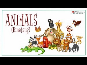 ANIMALS (Binatang) Vocabulary ~ Video Pembelajaran Bahasa Inggris