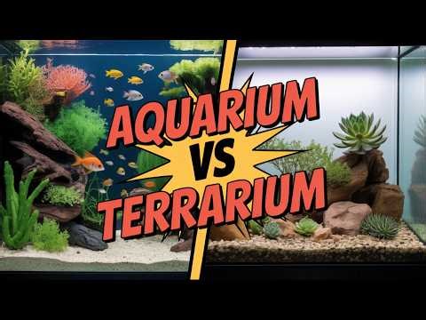 The REAL Difference Between Aquariums and Terrariums for Beginners