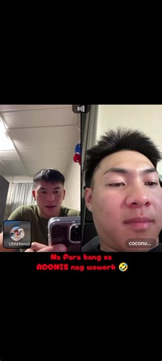 Understanding ADONIS and Its Workings