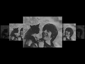 Davy Jones - Singin To The Music