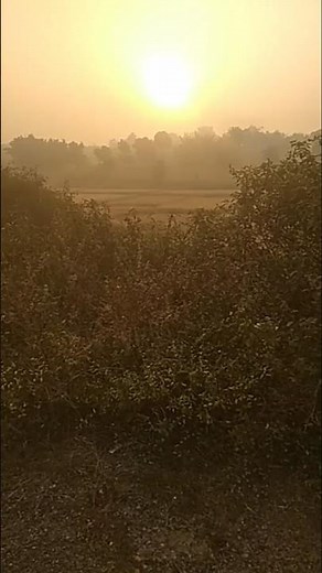 Gaon Ka Mausam |#shorts#village #viral