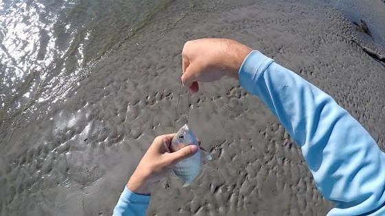 Beach Fishing at Hunting Island State Park | Coastal Adventure